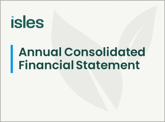 Stylized cover page (lower half) for annual consolidated financial statement