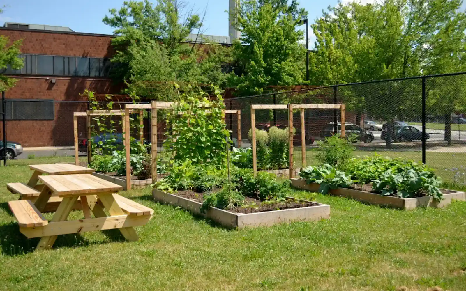 An Isles developed community garden