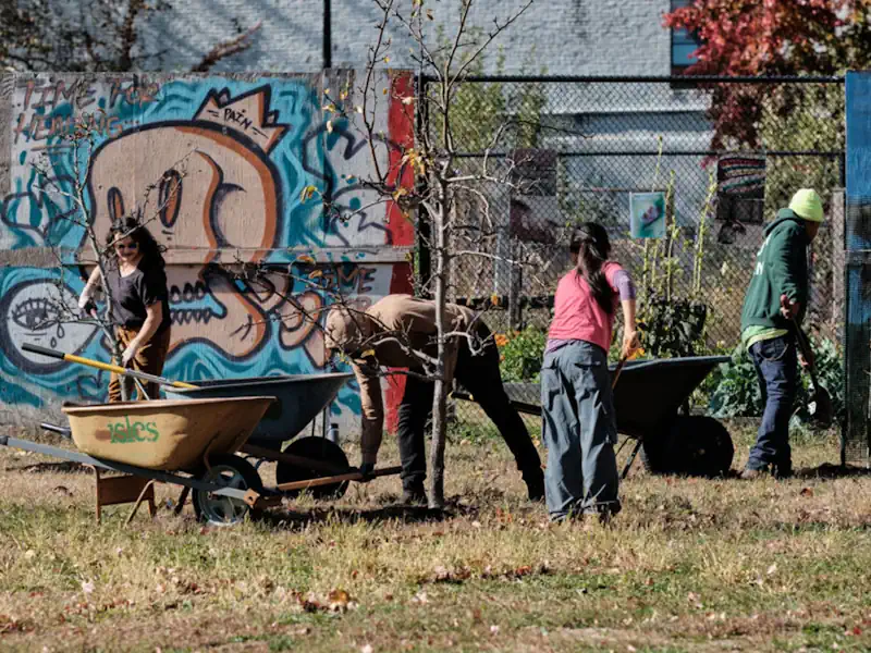 People planting trees on a formerly abandoned plot of land