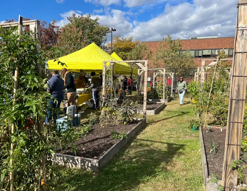 Isles community agricultural garden