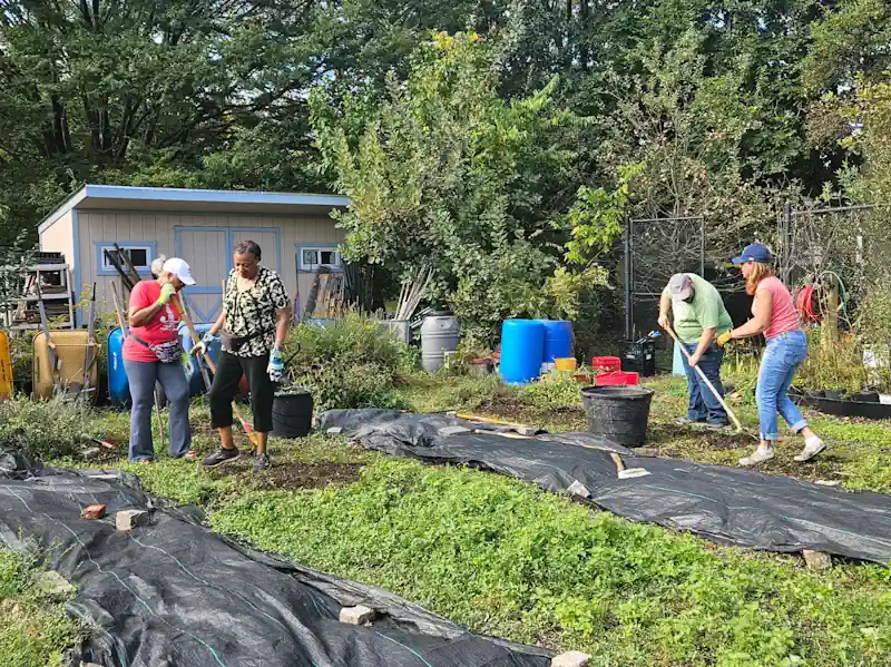 Volunteers Junior League